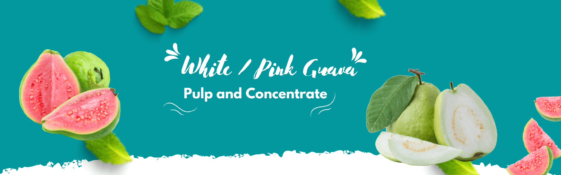 White Pink Guava