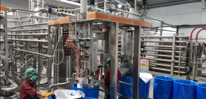 Aseptic mango pulp drum filling at high temperature