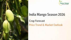 India Mango Season 2026 crop forecast price trend and market outlook blog banner with minimal professional background